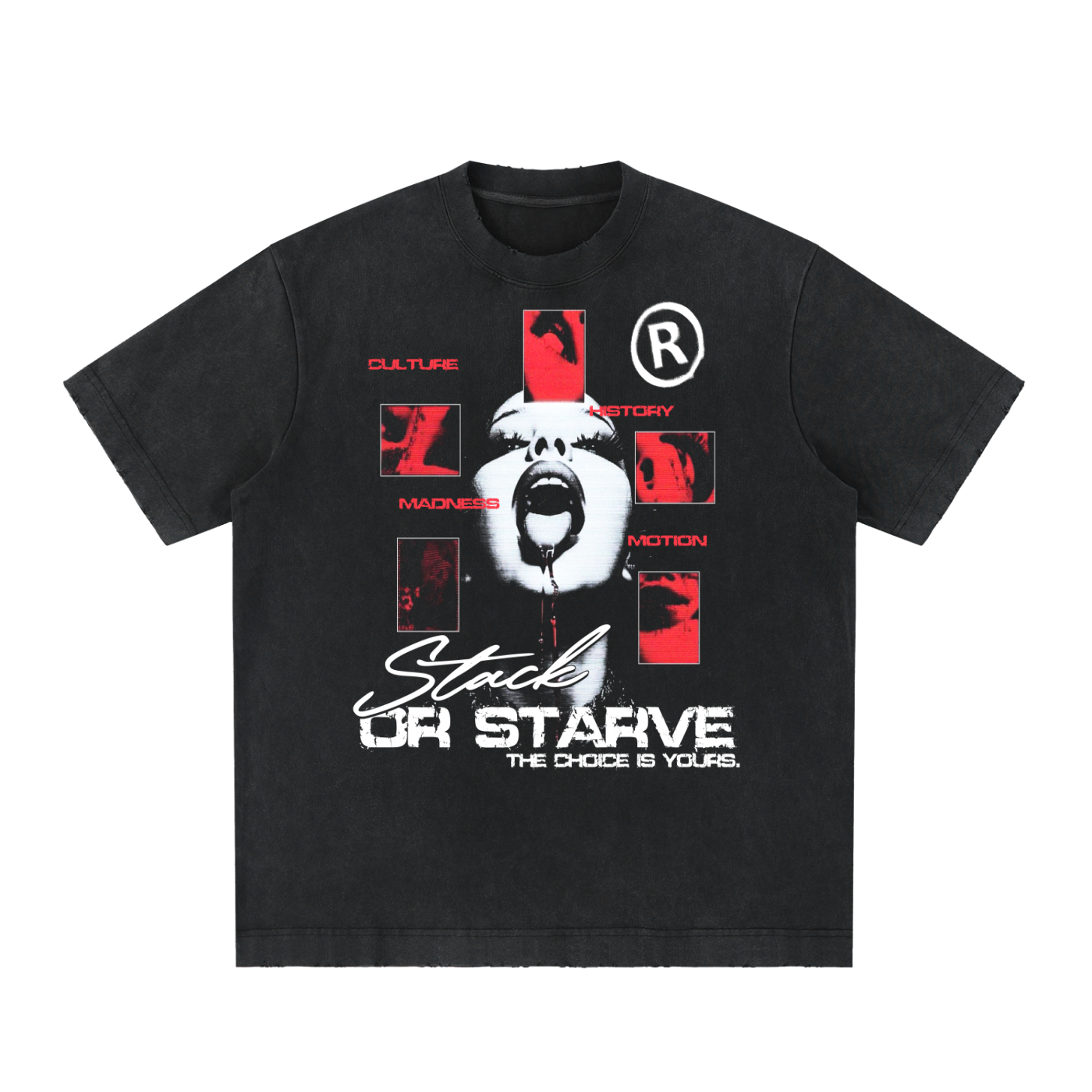 Stack or Starve Disorder Heavyweight Vintage Washed Frayed T-Shirt