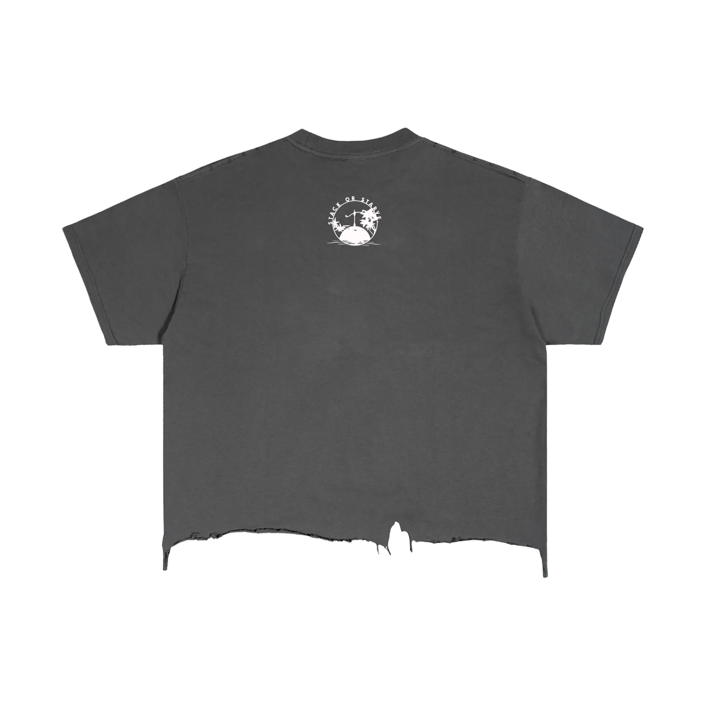 Stack Or Starve Eagle Vintage Wash Boxy Distressed Hem T-Shirt