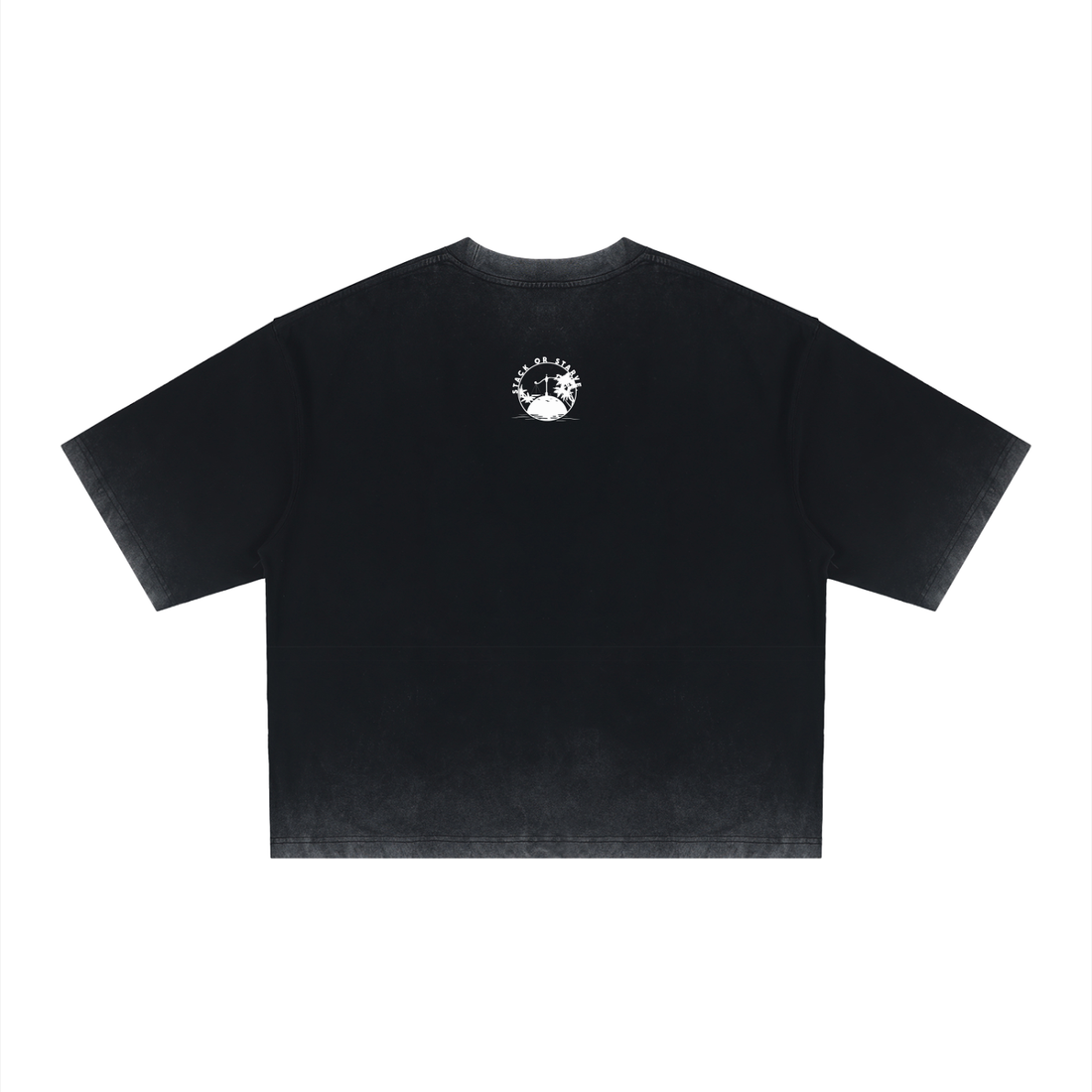 Unisex Reverse Dyed Boxy T-Shirt